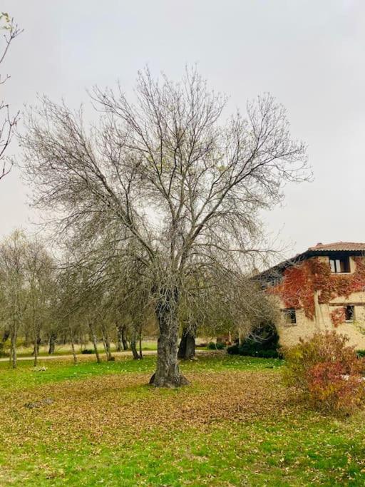 Casa Rural La Fresneda De Tenzuela Ségovie Extérieur photo